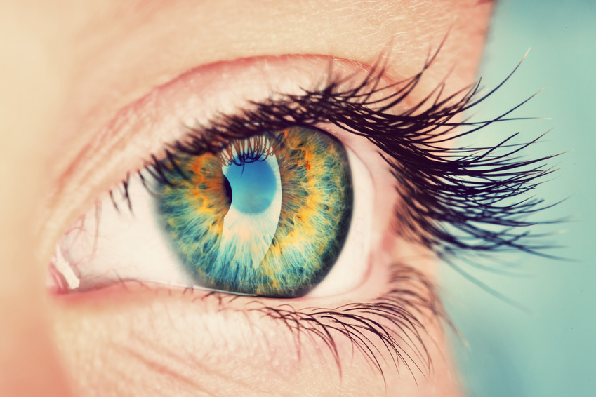 Auge Auge