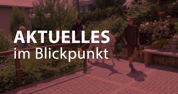 Aktuelles im Blickpunkt